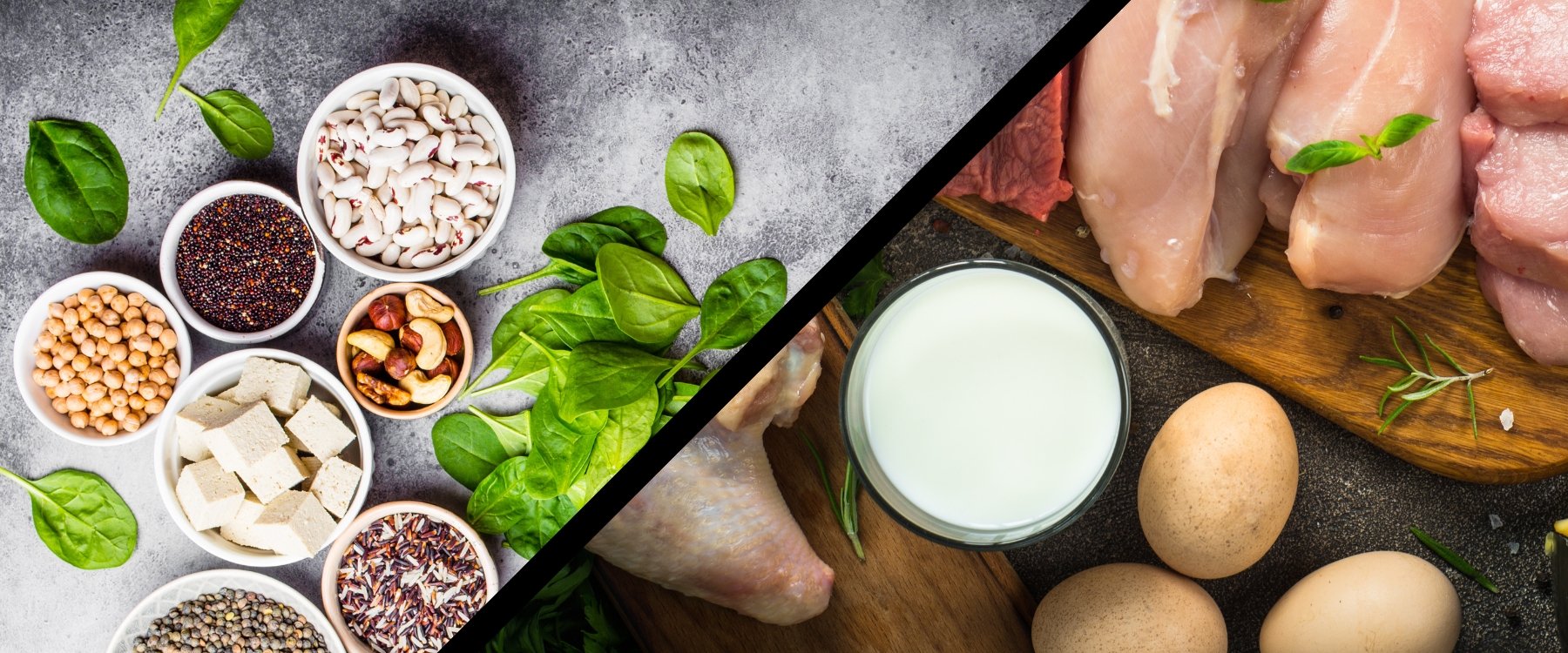 veganproteinvsanimalprotein766827.jpg?v=1676596938