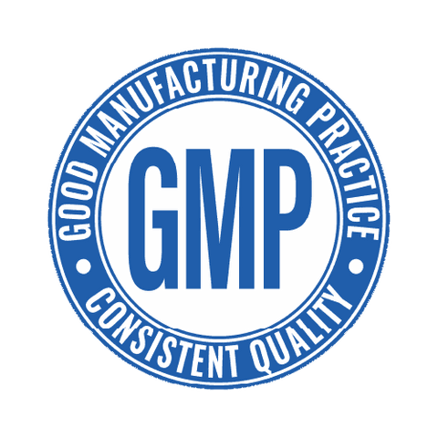 Organic Plant-Based Chocolate Vegan Protein Powder - 2 LB Natural & Healthy - For Fathers Fitness