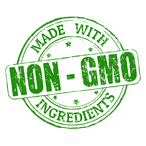 Organic Plant-Based Chocolate Vegan Protein Powder - 2 LB Natural & Healthy - For Fathers Fitness