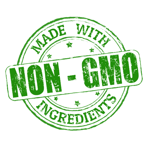 Organic Plant-Based Chocolate Vegan Protein Powder - 2 LB Natural & Healthy - For Fathers Fitness