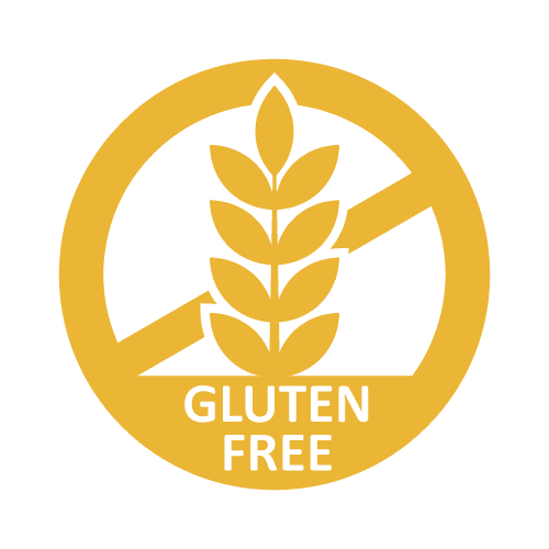 Organic Plant-Based Chocolate Vegan Protein Powder - 2 LB Natural & Healthy - For Fathers Fitness