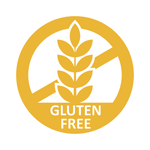 Organic Plant-Based Chocolate Vegan Protein Powder - 2 LB Natural & Healthy - For Fathers Fitness