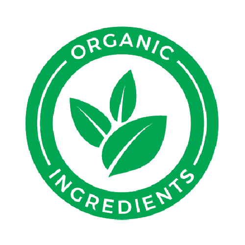 Organic Plant-Based Chocolate Vegan Protein Powder - 2 LB Natural & Healthy - For Fathers Fitness