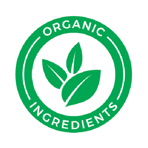 Organic Plant-Based Chocolate Vegan Protein Powder - 2 LB Natural & Healthy - For Fathers Fitness