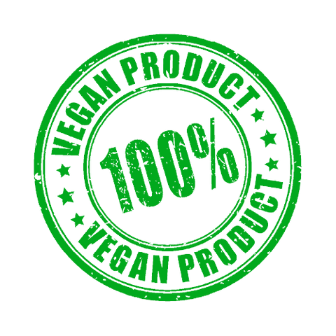 Organic Plant-Based Chocolate Vegan Protein Powder - 2 LB Natural & Healthy - For Fathers Fitness