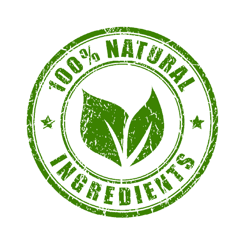 Organic Plant-Based Chocolate Vegan Protein Powder - 2 LB Natural & Healthy - For Fathers Fitness