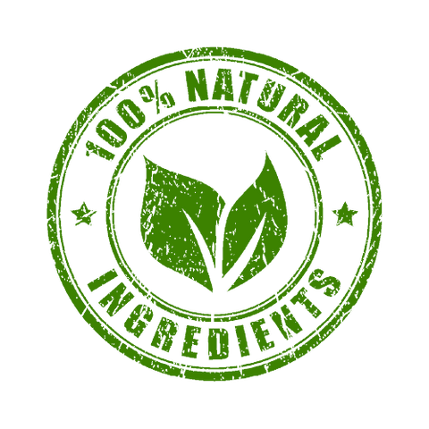 Organic Plant-Based Chocolate Vegan Protein Powder - 2 LB Natural & Healthy - For Fathers Fitness