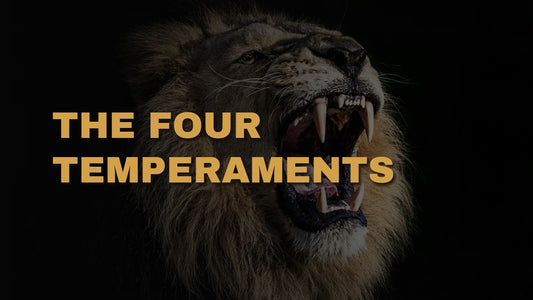 The Four Temperaments
