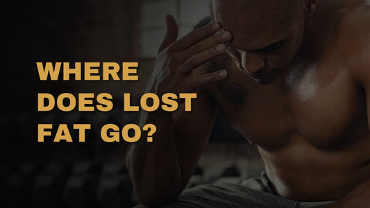 Where Does Lost Fat Go?