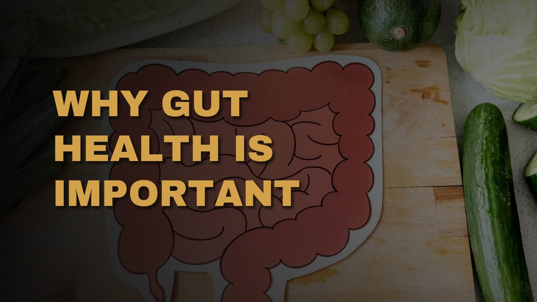 Why Gut Health Is Important