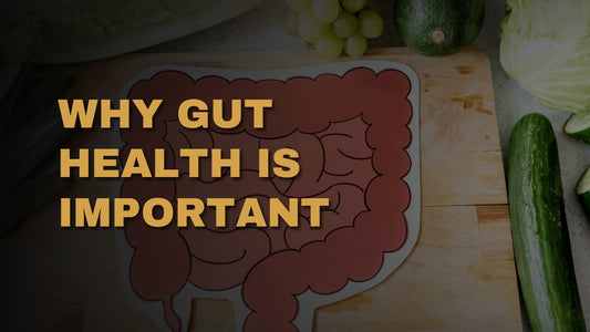 Why Gut Health Is Important