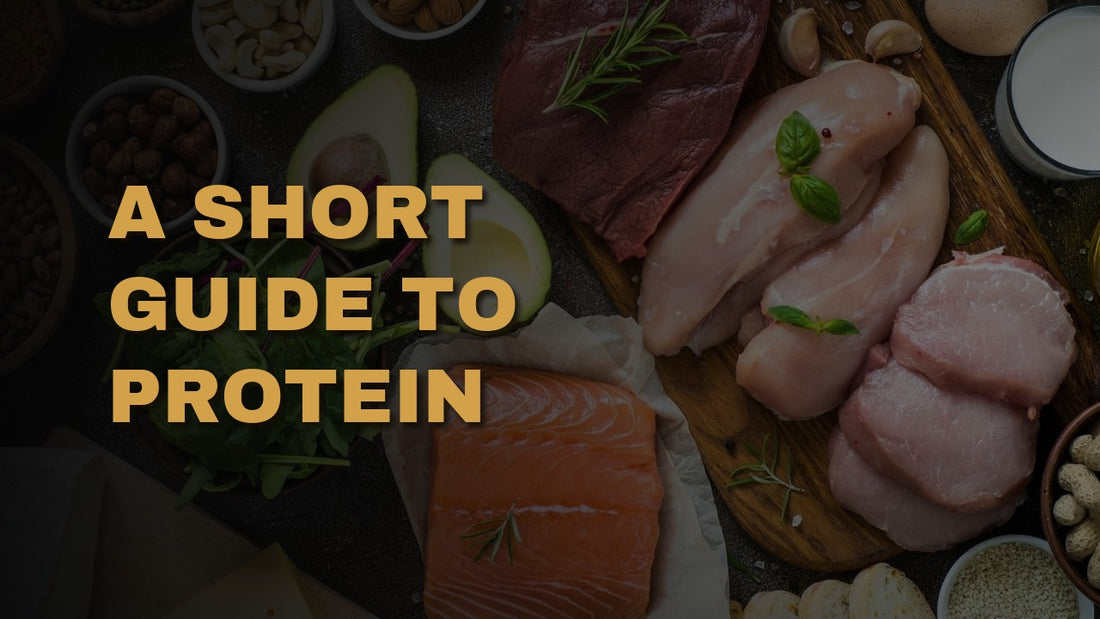 A Short Guide To Protein