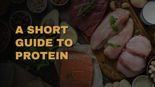 A Short Guide To Protein