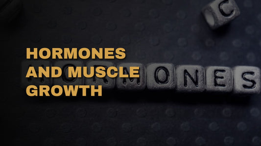 Hormones and Muscle Growth