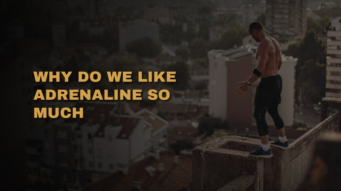 Why Do We Like Adrenaline So Much