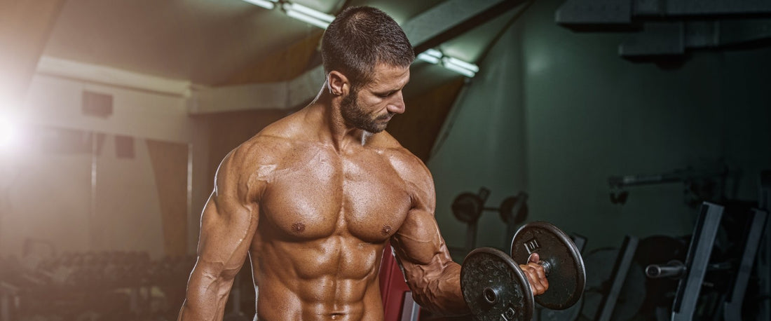 Breaking Down the Science of Muscle Hypertrophy: Training Techniques and Nutrition Tips - For Fathers Fitness
