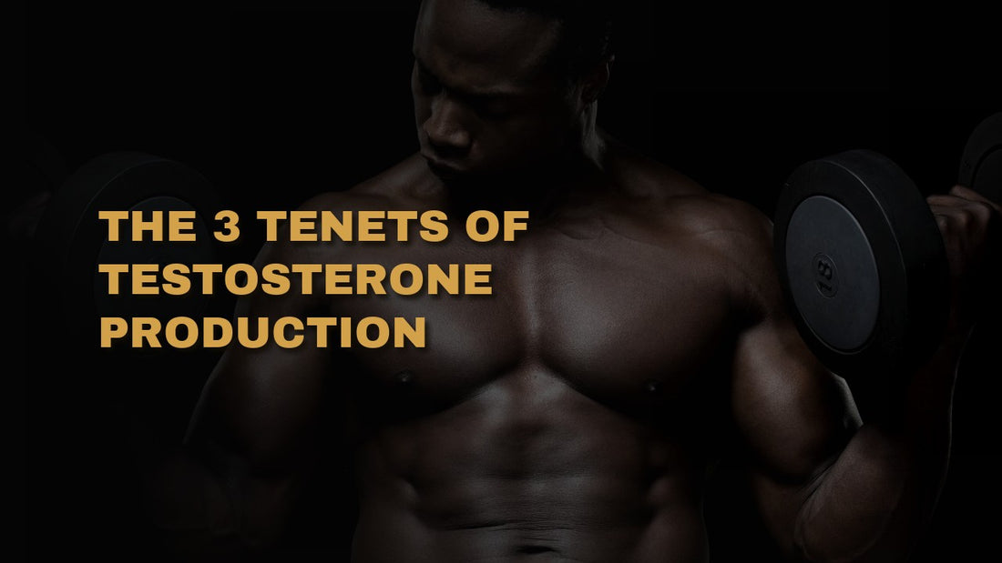 The 3 Tenets Of Testosterone Production