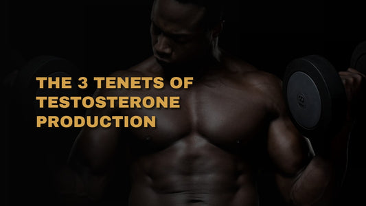 The 3 Tenets Of Testosterone Production