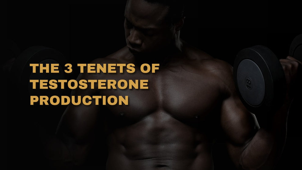 The 3 Tenets Of Testosterone Production
