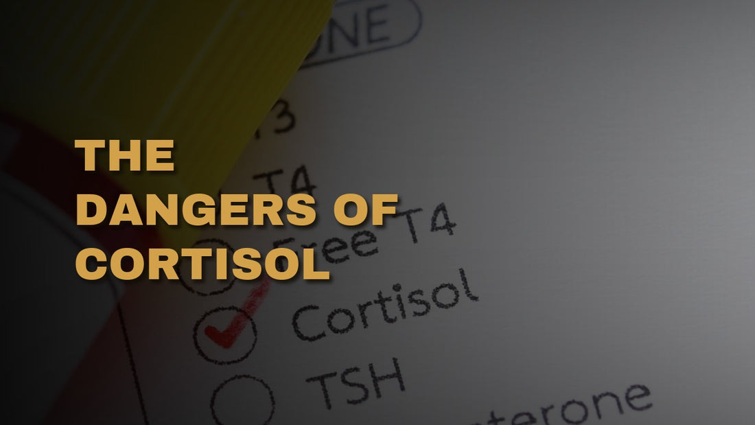 The Dangers Of Cortisol