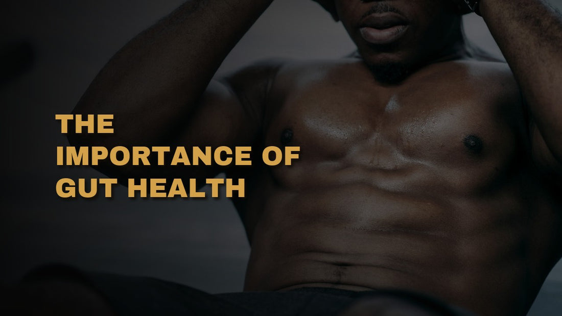 The Importance Of Gut Health