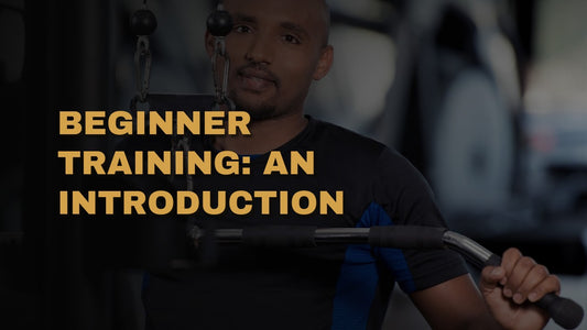 Beginner Training: An Introduction