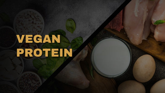 Vegan Protein: Your Ultimate Guide for Plant-Based Nutrition