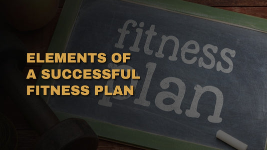 Elements Of A Successful Fitness Plan