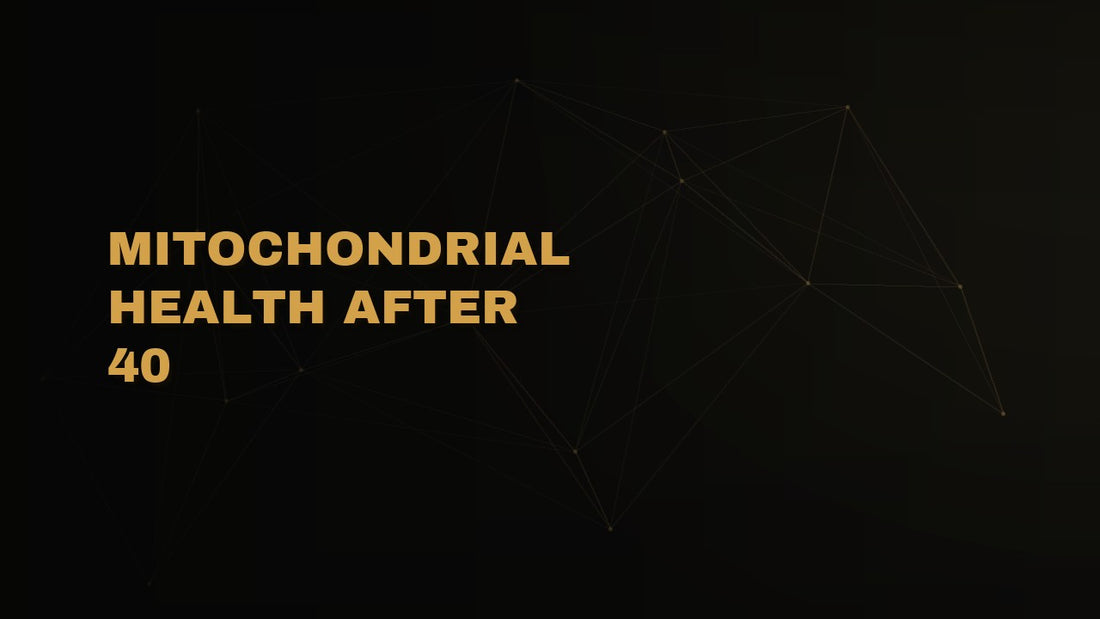 Mitochondrial Health After 40: Why Your Energy Dips and How to Rebuild It
