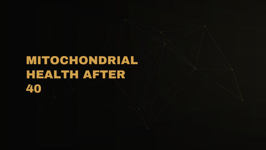 Mitochondrial Health After 40: Why Your Energy Dips and How to Rebuild It