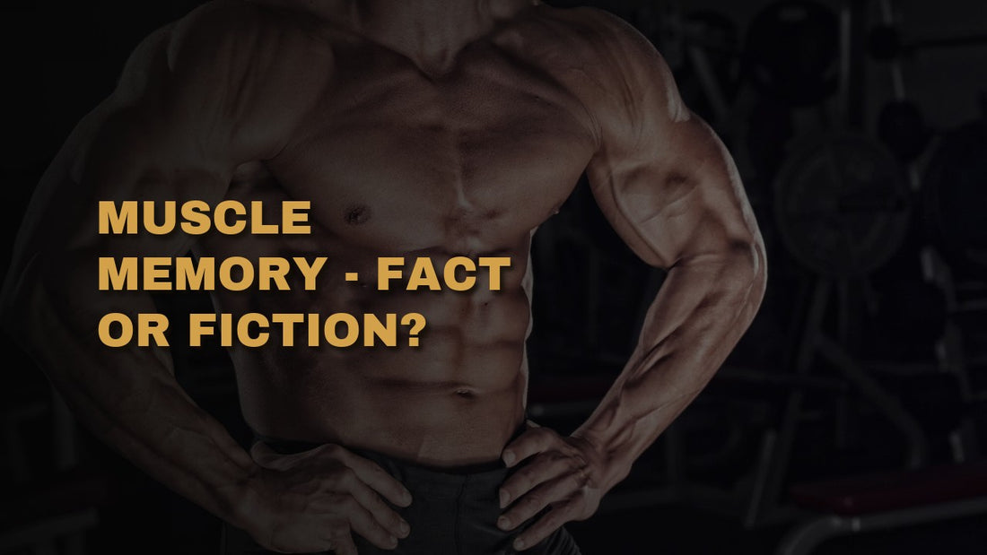 Muscle Memory - Fact or Fiction?