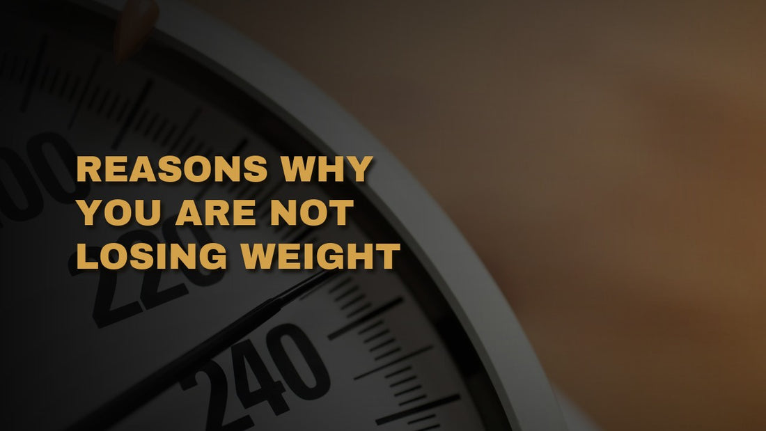 Reasons Why You Are Not Losing Weight