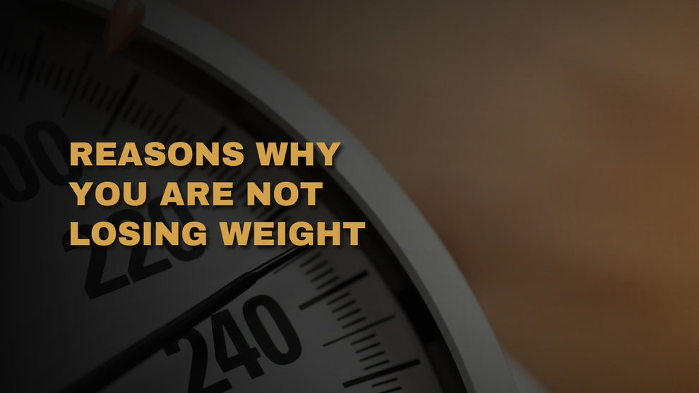 Reasons Why You Are Not Losing Weight