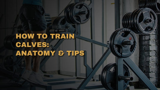 How To Train Calves: Anatomy & Tips