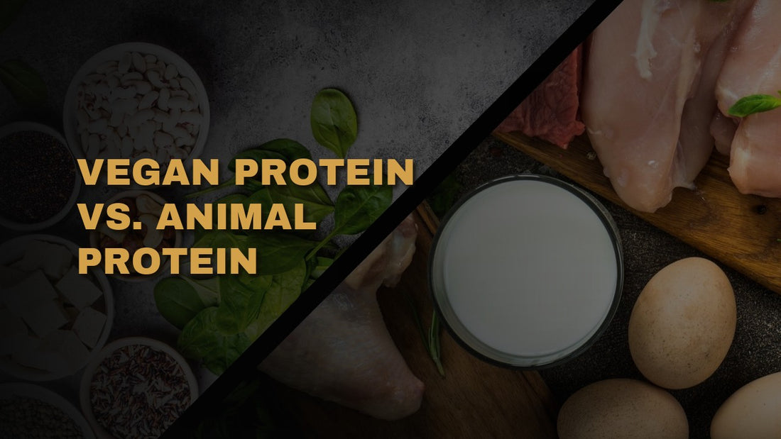 Vegan Protein vs. Animal Protein