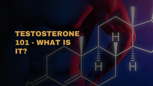 Testosterone 101 - What Is It?