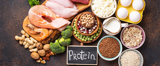 You Are Protein (And Why You Should Prioritize It) - For Fathers Fitness