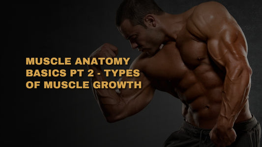 Muscle Anatomy Basics PT 2 - Types Of Muscle Growth