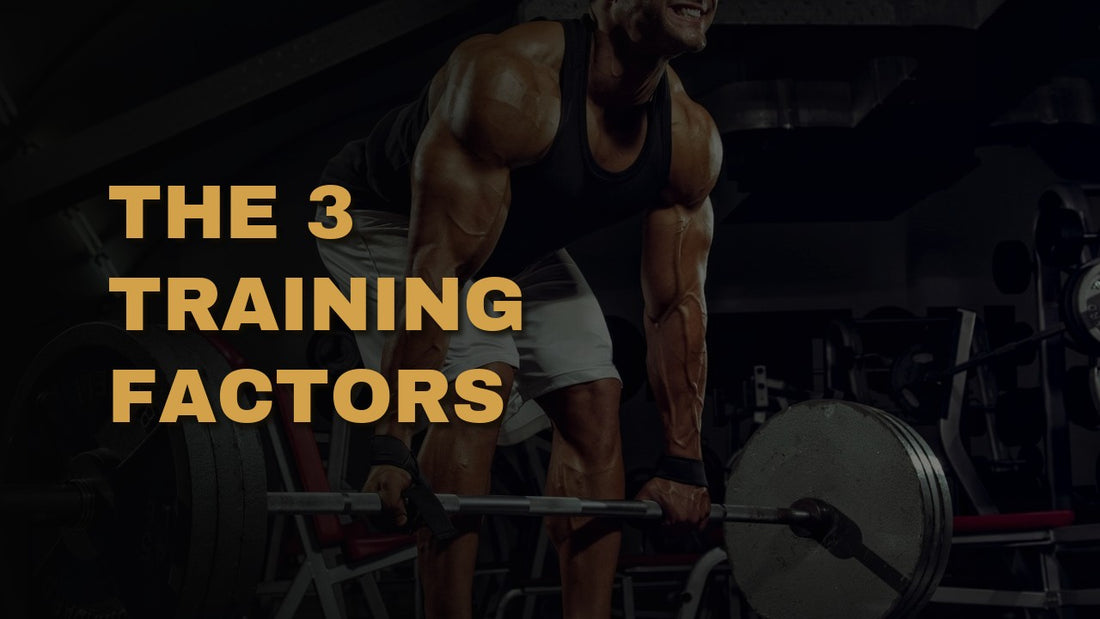 The 3 Training Factors