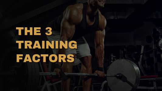 The 3 Training Factors