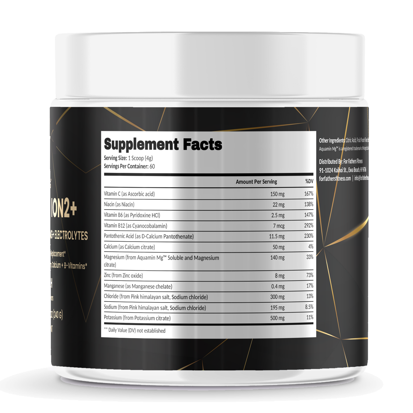 Hydrafuel Ion2+ – For Fathers Fitness – right