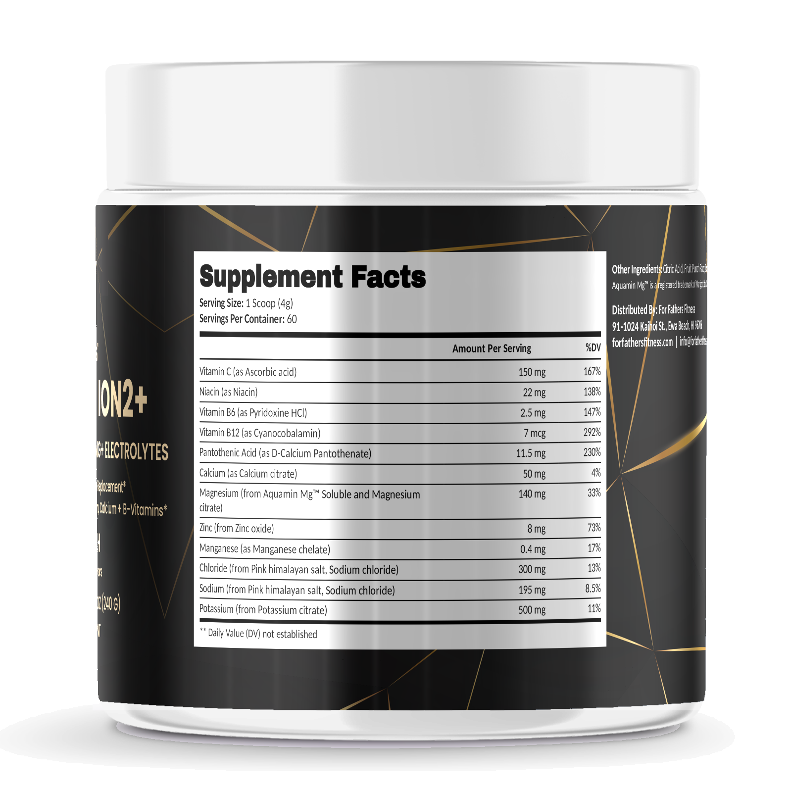 Hydrafuel Ion2+ – For Fathers Fitness – right