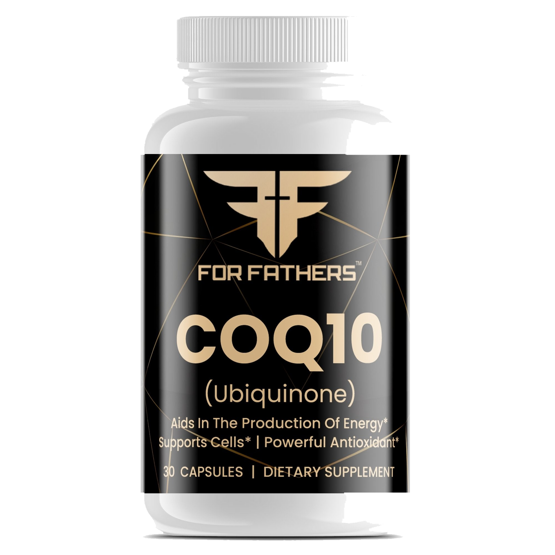 For Fathers Fitness premium supplement
